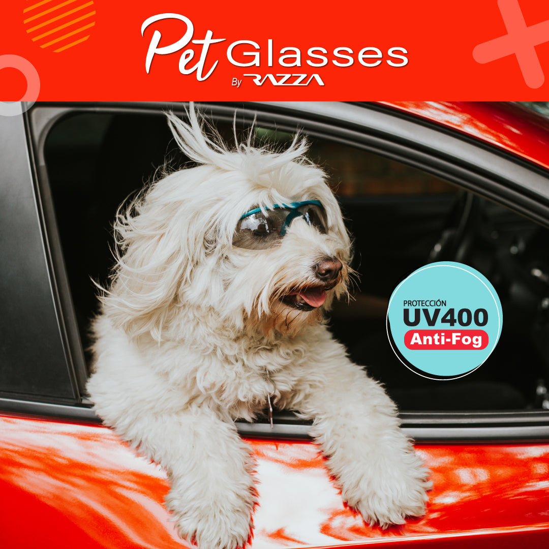 PET GLASSES Talla M 36002