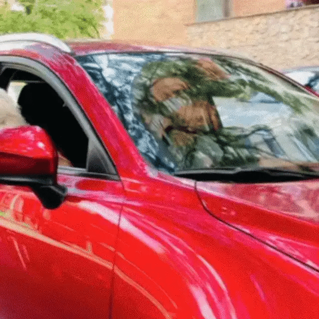 PET GLASSES Talla M 36002