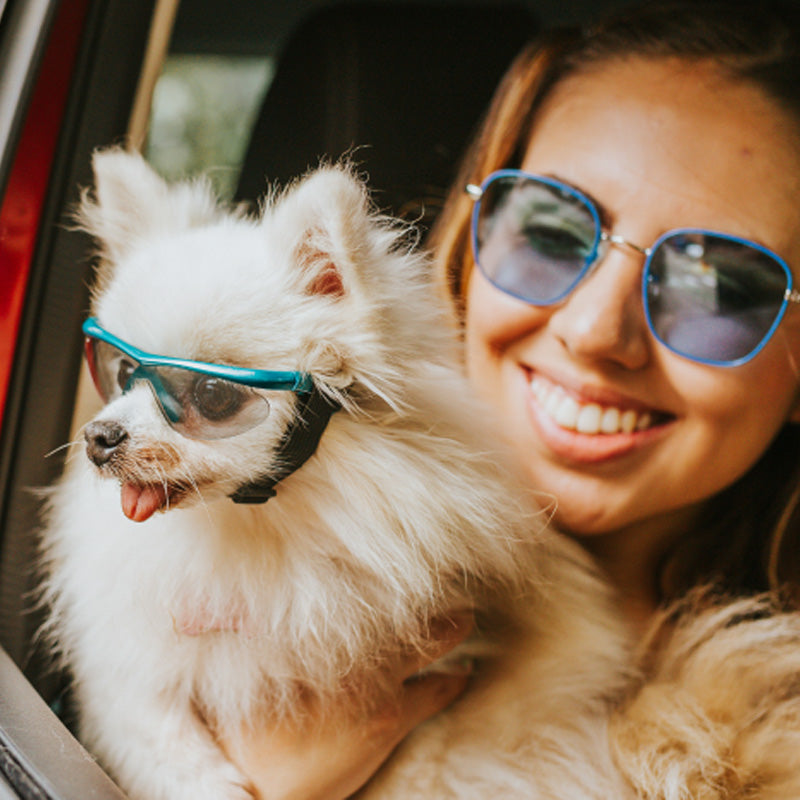 PET GLASSES Talla S 36001